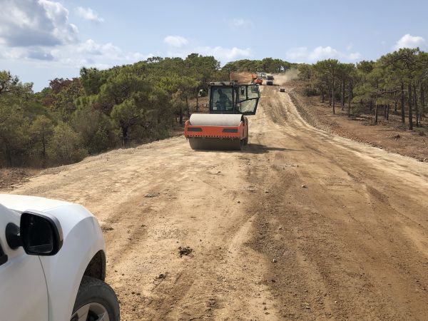 Driveway Grading And Graveling