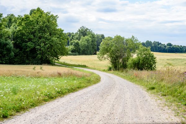 Gravel Driveway Installation - Gravel Driveway Installation Concord, North Carolina
