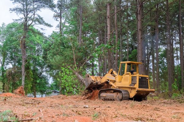 Agricultural Land Clearing