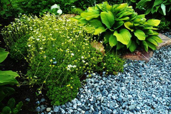 Backyard Gravel Design